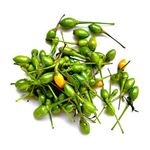Chiltepe-De-3oz-1-31930