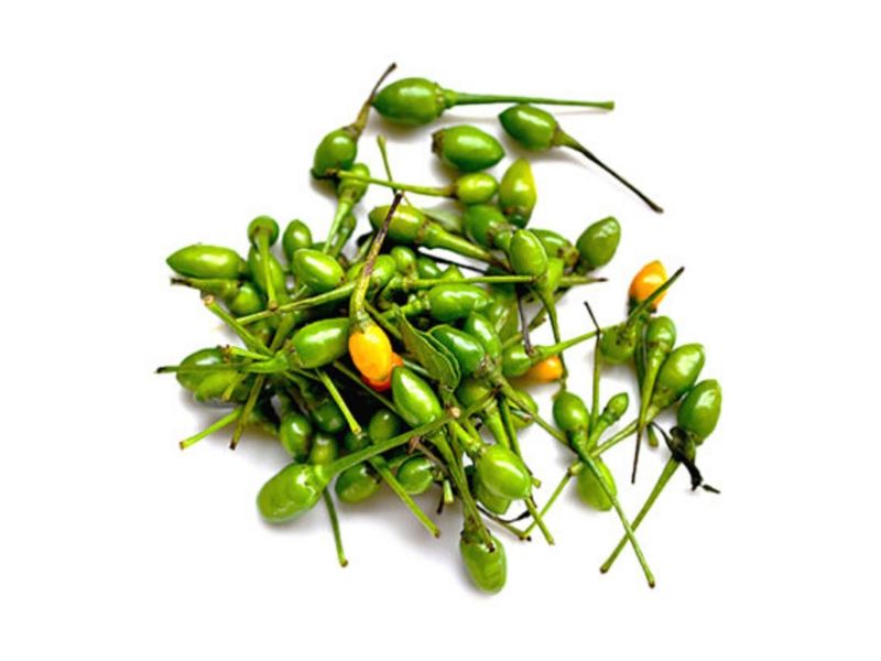 Chiltepe-De-3oz-1-31930