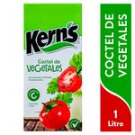 Coctel-Kerns-Vegetales-Tetra-1000ml-1-8280