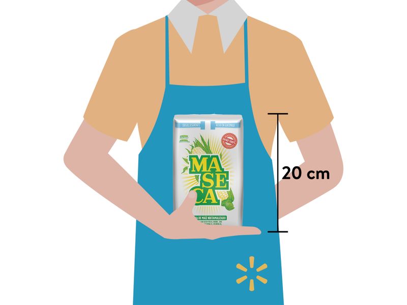 Masa-Maseca-2000gr-2-28656