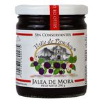 Jalea-Valle-De-Panchoy-De-Mora-300gr-2-29557