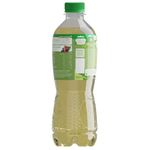 Te-Verde-Dos-Pinos-Antioxidante-Botella-500ml-2-48188