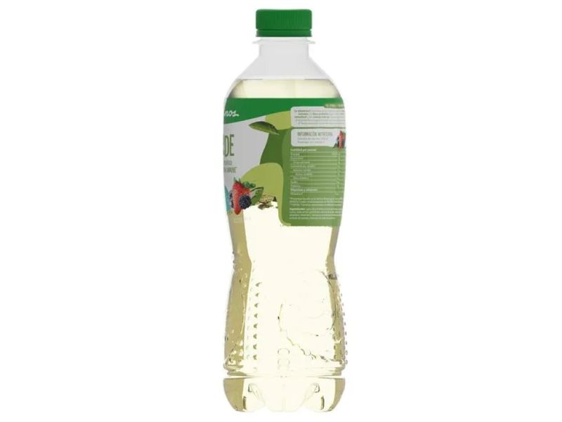 Te-Verde-Dos-Pinos-Antioxidante-Botella-500ml-3-48188