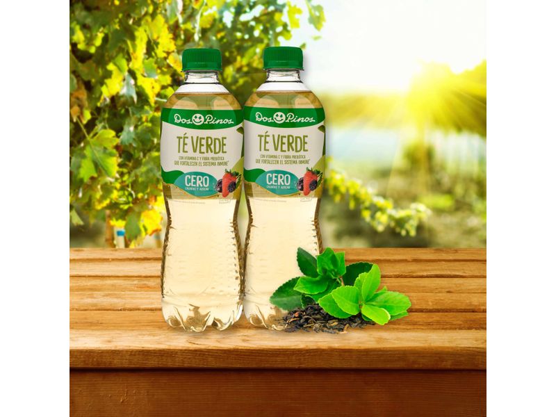 Te-Verde-Dos-Pinos-Antioxidante-Botella-500ml-6-48188