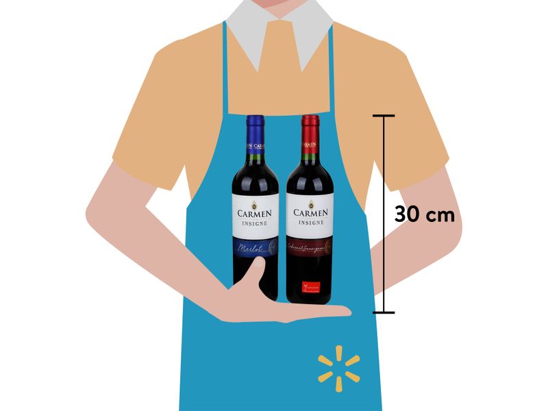Pack-Vino-Carmen-Insigne-1500ml-6-70200