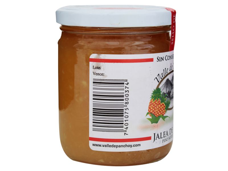 Jalea-Valle-De-Panchoy-De-Pi-a-300gr-2-29558