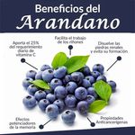 Arandanos-Mada-Importados-De-170gr-3-30549