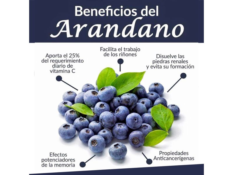 Arandanos-Mada-Importados-De-170gr-3-30549