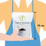 Panela-El-Tesoro-Granulada-Organica-454gr-5-31425