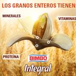 Pan-Bimbo-Sandwich-Integral-Fibra-Grano-Entero-530gr-4-33754