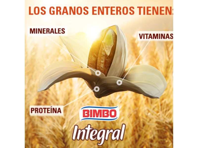 Pan-Bimbo-Sandwich-Integral-Fibra-Grano-Entero-530gr-4-33754