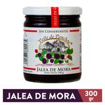 Jalea-Valle-De-Panchoy-De-Mora-300gr-1-29557