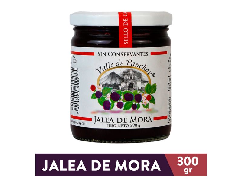 Jalea-Valle-De-Panchoy-De-Mora-300gr-1-29557