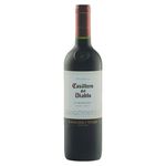 Vino-Tinto-Casillero-Del-Diablo-Carmenere-750ml-2-44927