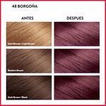 Tinte-Colorsilk-Borgona-48-130ml-4-10969