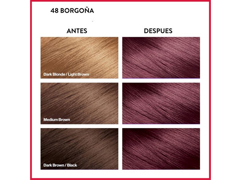 Tinte-Colorsilk-Borgona-48-130ml-4-10969