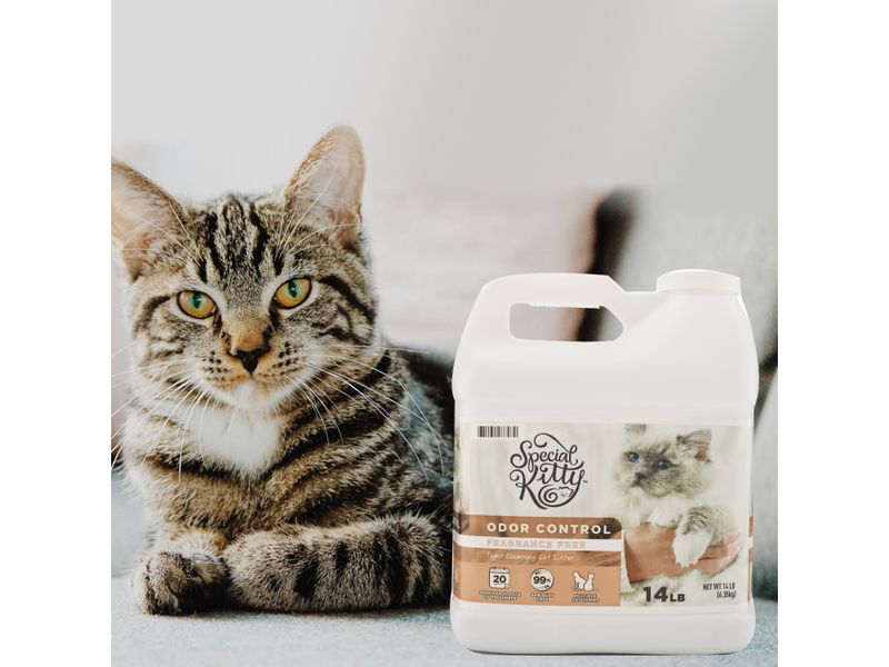 Special-Kitty-Arena-Gato-Sin-Aroma6-35Kg-5-13259