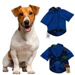 Sueter-P-Mascota-S-1Ea-4-31246