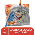 Escocesa-Escoba-Angular-1Ea-1-15089