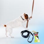 Ol-Roy-Collar-Para-Perro-Colores-Talla-M-5-34414