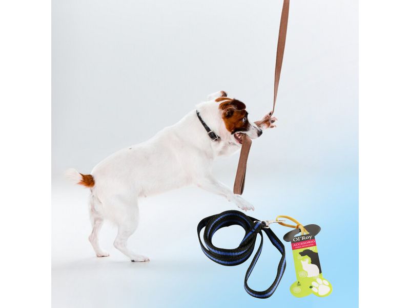 Ol-Roy-Collar-Para-Perro-Colores-Talla-M-5-34414