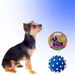 Ol-Roy-Juguete-Pelota-Puntos-Vinyl-Toy4-5-34431