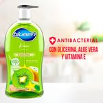 Jab-n-Blumen-Liquido-Kiwi-Botella-525ml-4-37800