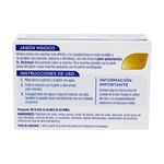 Jab-n-Dr-Beckmann-Quitamanchas-Intenso-100-gr-3-20183