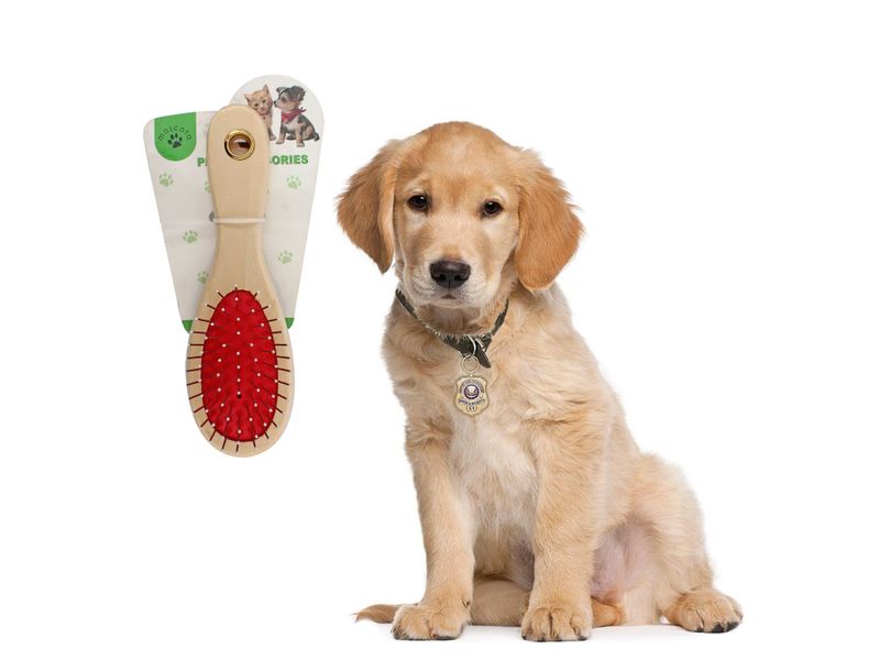 Cepillo-Alfa-2Cuadrad-Mascota-Madera-1Un-4-16638