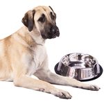 Plato-Alfa-Moda-De-Metal-P-Perro-1-Und-4-18267