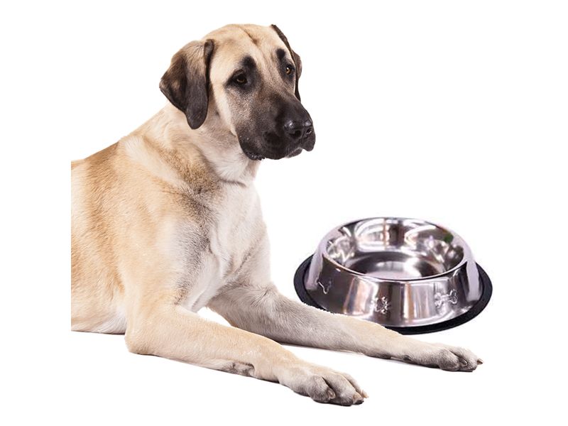 Plato-Alfa-Moda-De-Metal-P-Perro-1-Und-4-18267