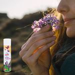 Don-Clin-Ambient-Aerosol-Lavanda-390-Gr-3-62054