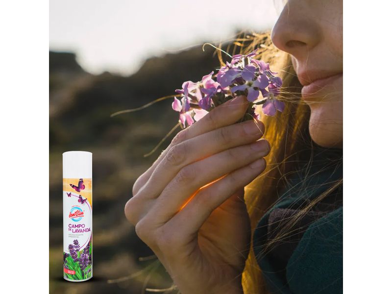 Don-Clin-Ambient-Aerosol-Lavanda-390-Gr-3-62054