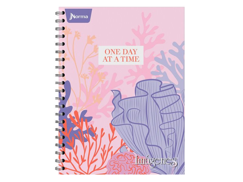 Cuaderno-Norma-Surtido-100-hojas-13-70179