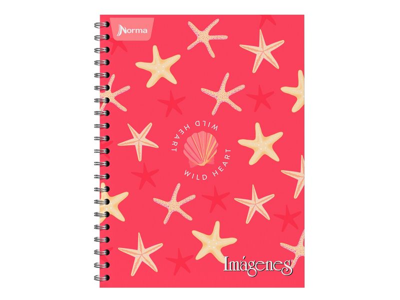 Cuaderno-Norma-Surtido-100-hojas-14-70179