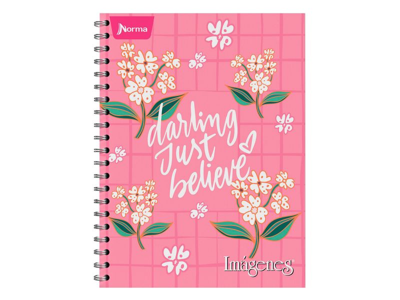 Cuaderno-Norma-Surtido-100-hojas-16-70179