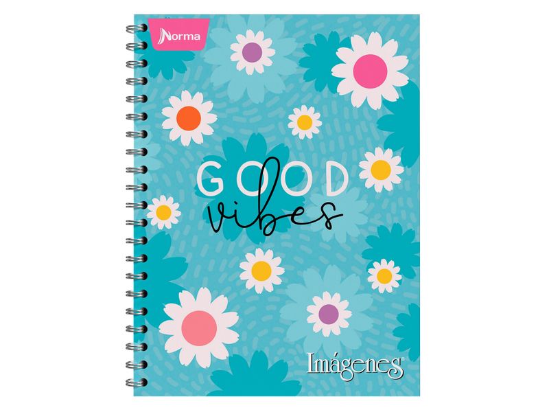 Cuaderno-Norma-Surtido-100-hojas-2-70179