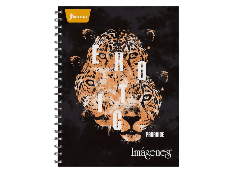 Cuaderno-Norma-Surtido-100-hojas-25-70179