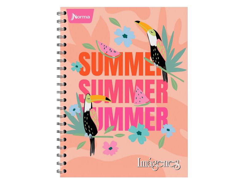 Cuaderno-Norma-Surtido-100-hojas-3-70179