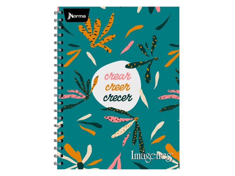 Cuaderno-Norma-Surtido-100-hojas-4-70179