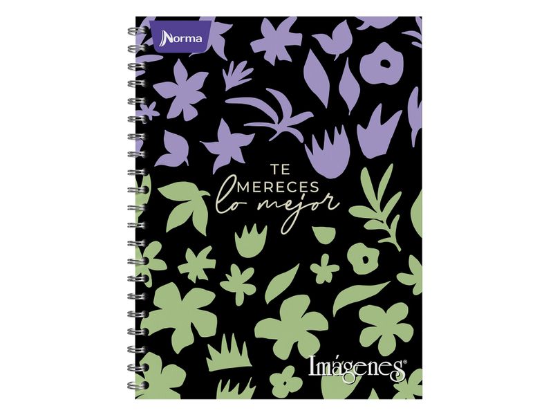 Cuaderno-Norma-Surtido-100-hojas-6-70179