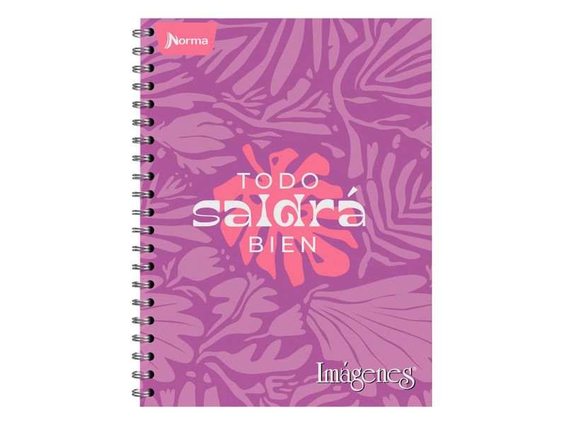 Cuaderno-Norma-Surtido-100-hojas-1-70179