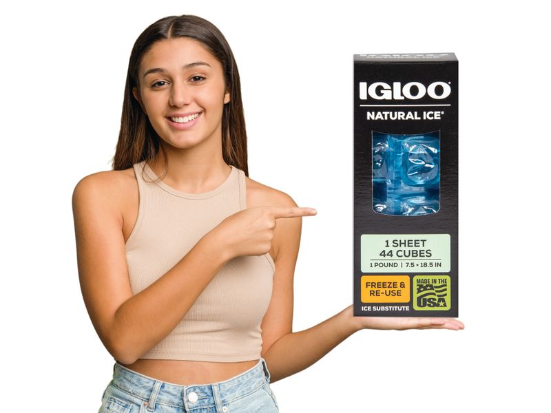 Hielo-Artificial-Igloo-44-5-4905