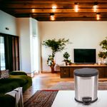 Basurero-Better-Homes-Cromado-Ovalado-5L-2-17502