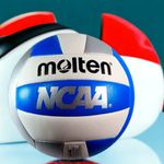 Balon-Voleyball-Molten-5-21221