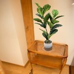 Planta-Artificial-Mainstays-Con-Maceta-Color-Beige-75cm-4-60354