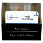 Novo-Aroma-Eucalipto-2-26606