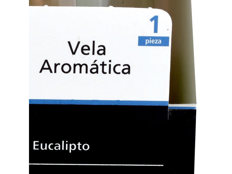 Novo-Aroma-Eucalipto-3-26606