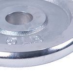Plato-Cromado-Athletic-Works-10Lb-3-42083