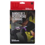 Set-Bandas-Wilson-De-Resistencia-1-54165